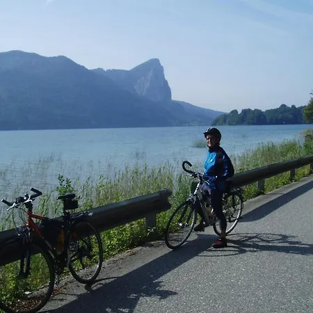 Guest house Gastehaus Pillinger - Mondsee